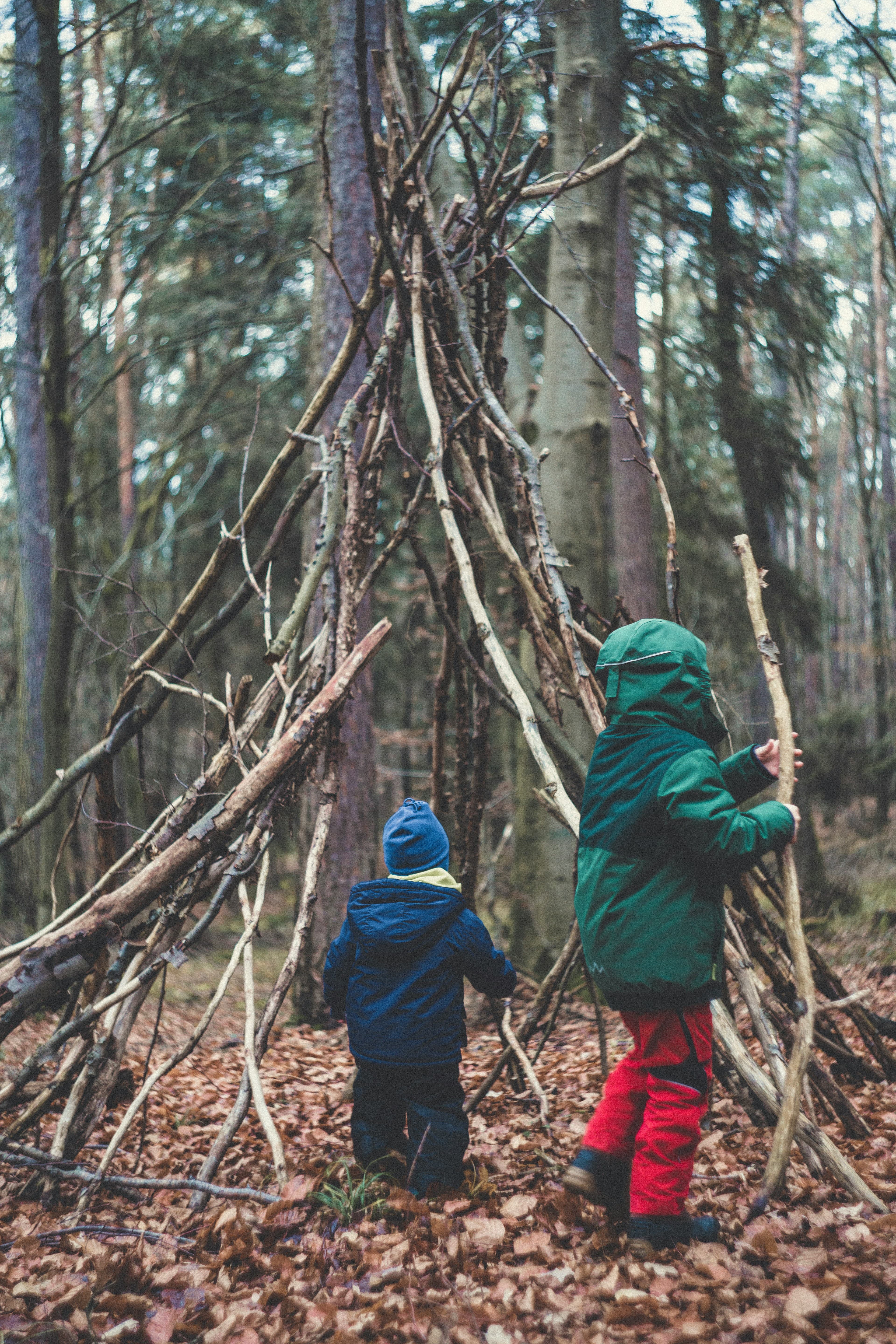 Enfant jouant avec du bois dans la forêt.